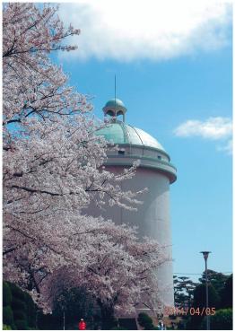 栗山浄水場と周りを囲む満開の桜