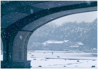 21世紀の森と公園、大雪が公園を覆う