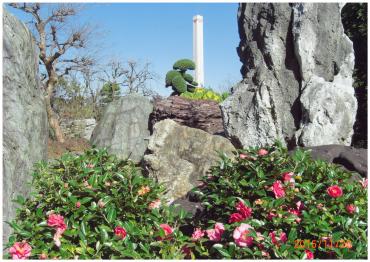 椿の花と共に移る煙突の写真