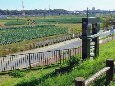 広々とした田舎の風景、大切にしたい景色