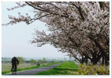 矢切地区の風景