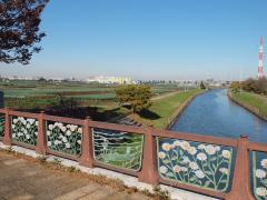 矢切の田園風景