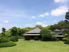 初夏の戸定が丘歴史公園