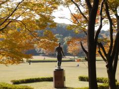 今年の紅葉は綺麗