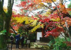 本土寺