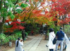 本土寺