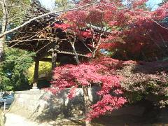 東漸寺