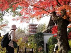 東漸寺