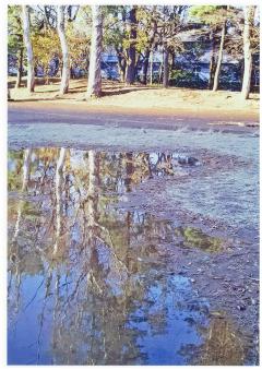 金ヶ作公園