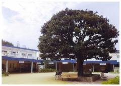 常盤平支所