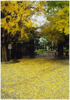 『松戸中央公園』正門前