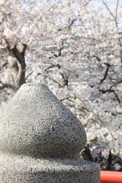 松戸神社