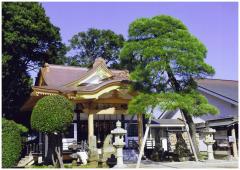 新装になったたかお神社本殿