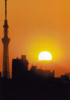 茜色に染まる夕暮れに夕日の太陽が富士山の頂上から沈み又、スカイツリーのてっぺんに太陽が串刺しになる景色を観ることもできます