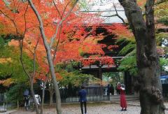 仏法山東漸寺