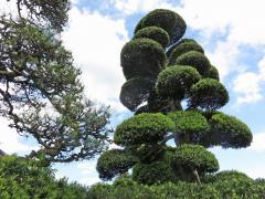 古ヶ崎・植え込みのある風景