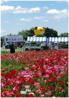 江戸川フラワーライン（春）