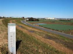 矢切土手より田園風景