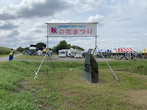 ようこそ！