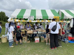 採れたて野菜も売ってます