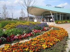 東松戸ゆいの花公園外観と色鮮やかな花たちの写真