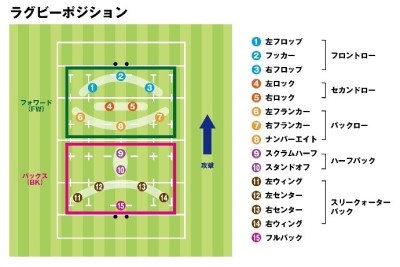 ラグビーのポジション説明図