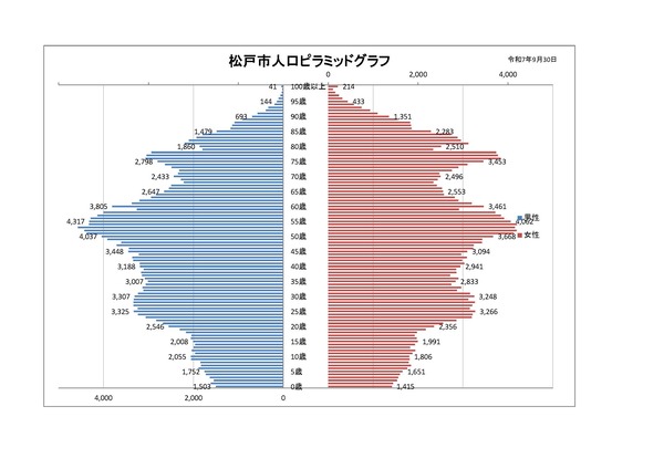 人口ピラミッドグラフ