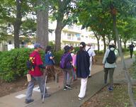 グループごとにチェックポイントを回る様子