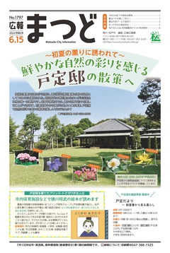 広報まつど2024年6月15日号