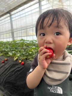 かのあちゃんの写真
