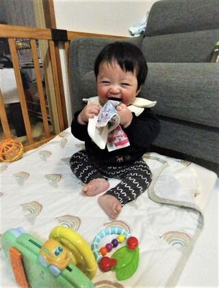 いつきちゃんの写真