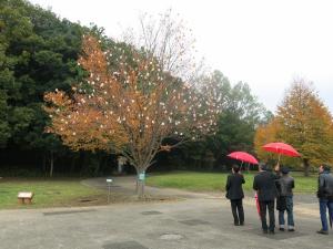 松戸アートピクニック市長がアート作品を観覧している様子