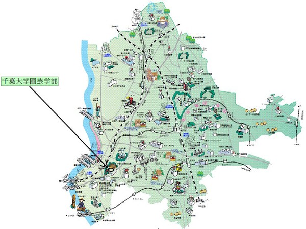松戸市全体の中での千葉大園芸学部の位置