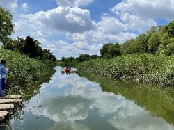 ふれあい松戸川