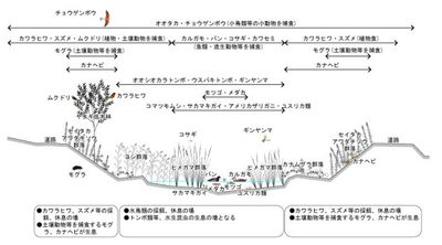 断面図