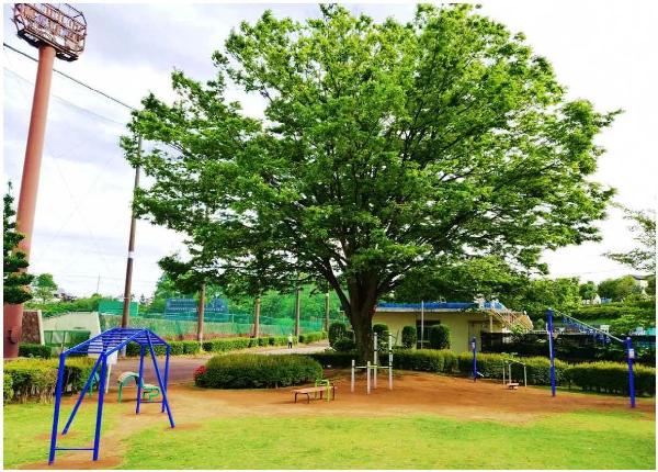 松戸運動公園写真