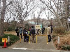 柿ノ木台公園（ライオンズの森）ワークショップの風景