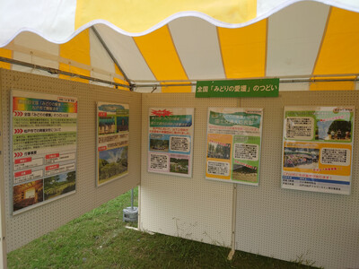 展示の状況