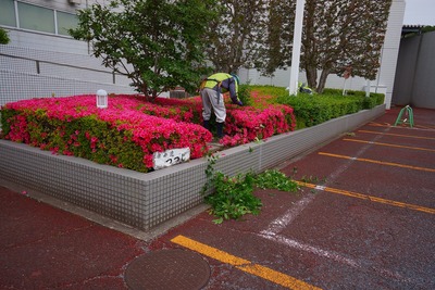 清掃