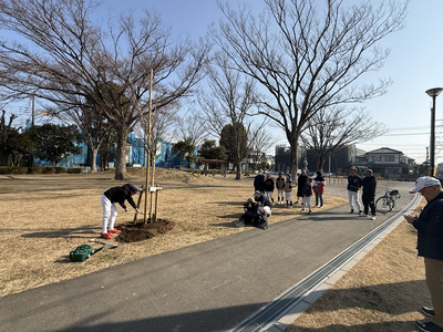 あかしあ公園1