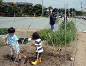 市民農園の写真2