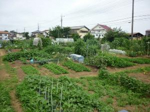 スダカ市民農園