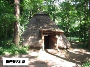 復元竪穴住居外観写真