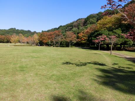 紅葉を見に公園へ