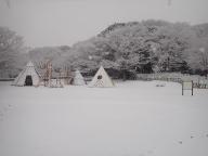 新年の初雪