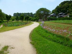 田園風景