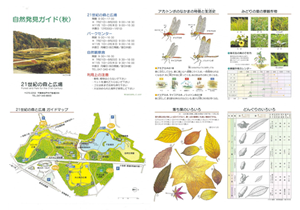 自然発見ガイド(秋)の画像