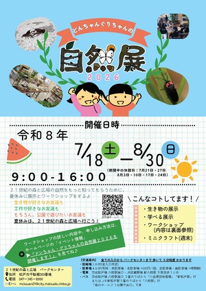 チラシ表面