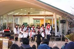 音楽会写真