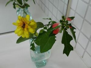 手洗い場の花の画像2